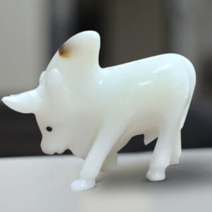 BULL 6 INCHES (ANIMAL)