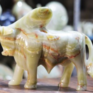 BULL 12 INCHES (ANIMAL)